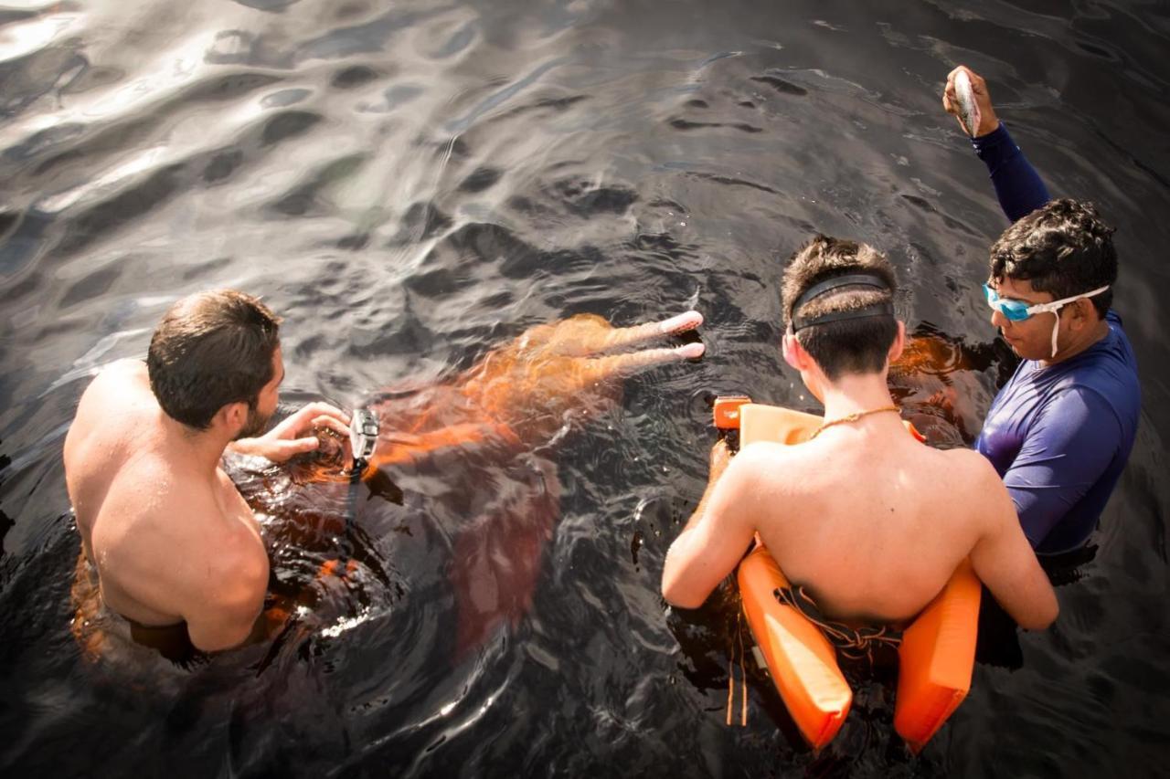 Paricatuba Amazonia Lodge Exxperience מראה חיצוני תמונה